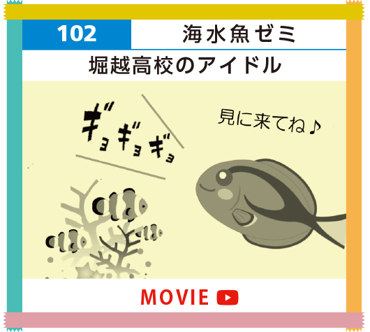 102