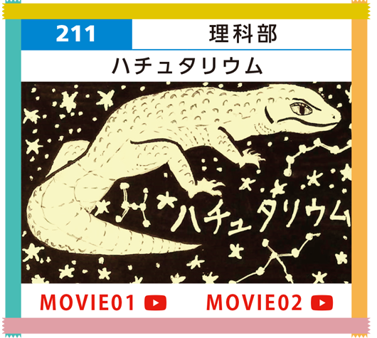 211