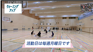 ホリオンtv