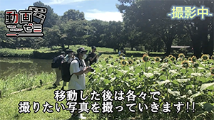 ホリオンtv